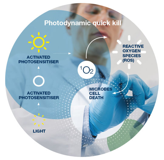 Photodynamic Quick Kill: The active ingredient on the glove is a photosensitize 