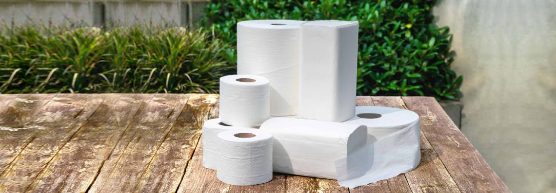 Carton de 25 liasses de papier essuie-mains pliage en Z Abena Care-Ness